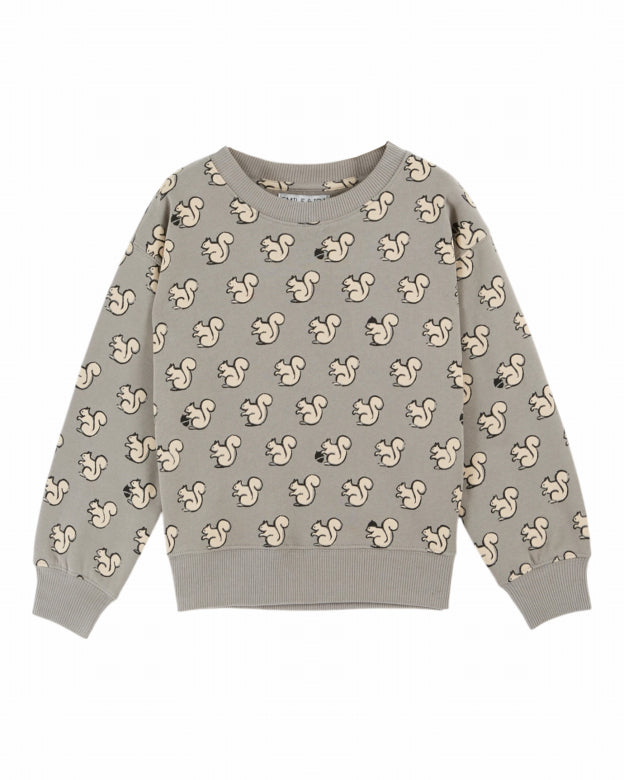 Sweater Gris clair, Emil et Ida