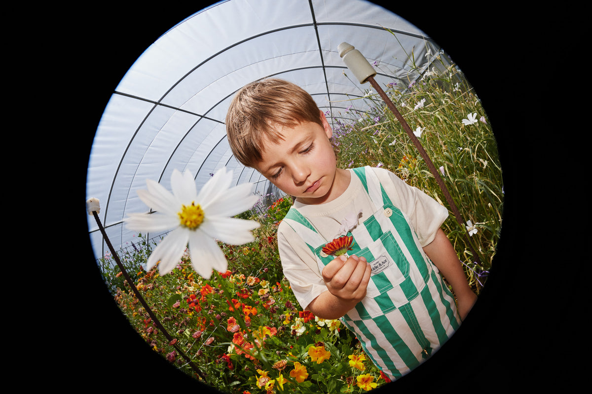 Happy stripe Burton Overall, Goldie & Ace