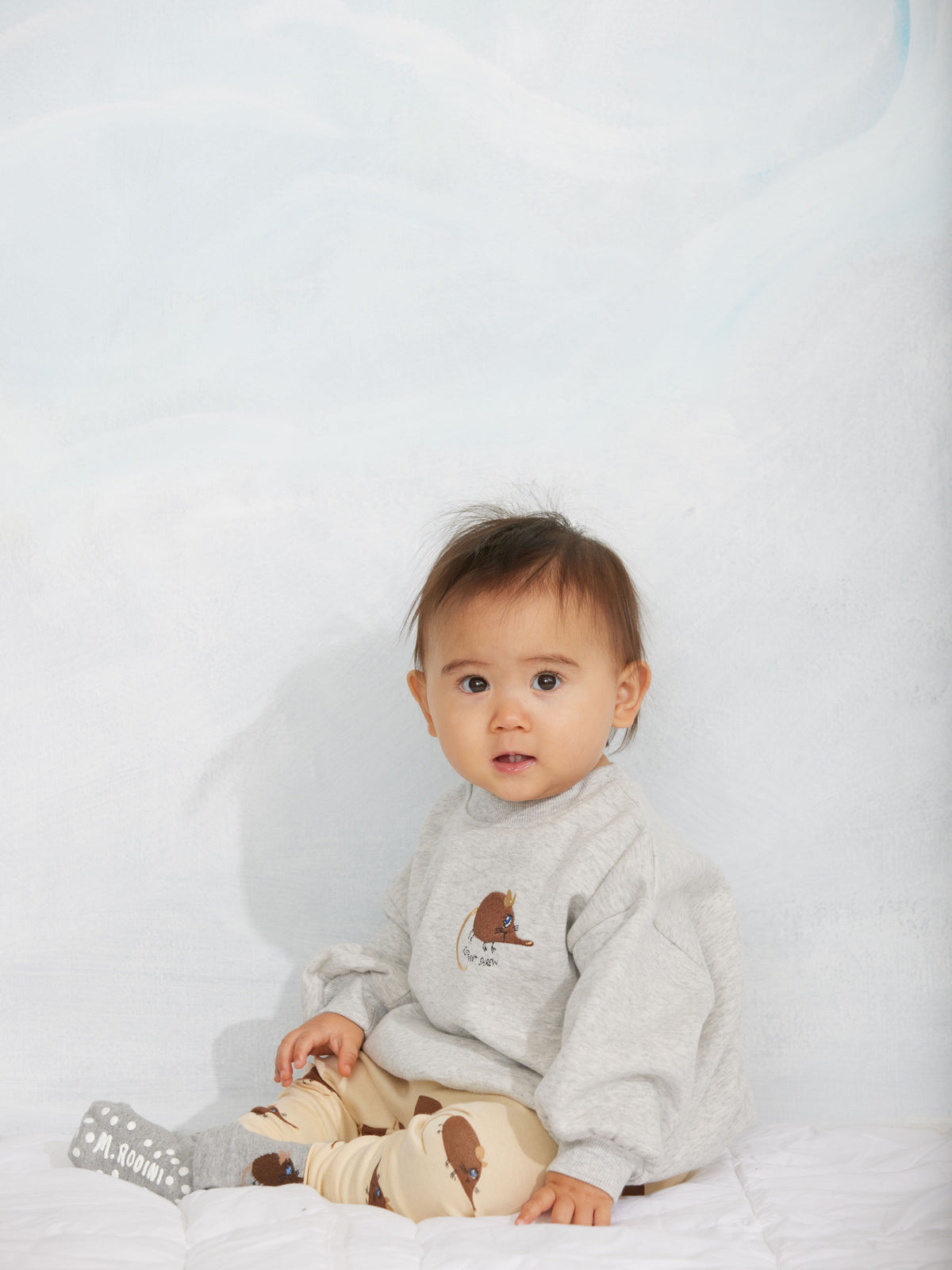 Elephant shrew emb sweatshirt, Mini Rodini