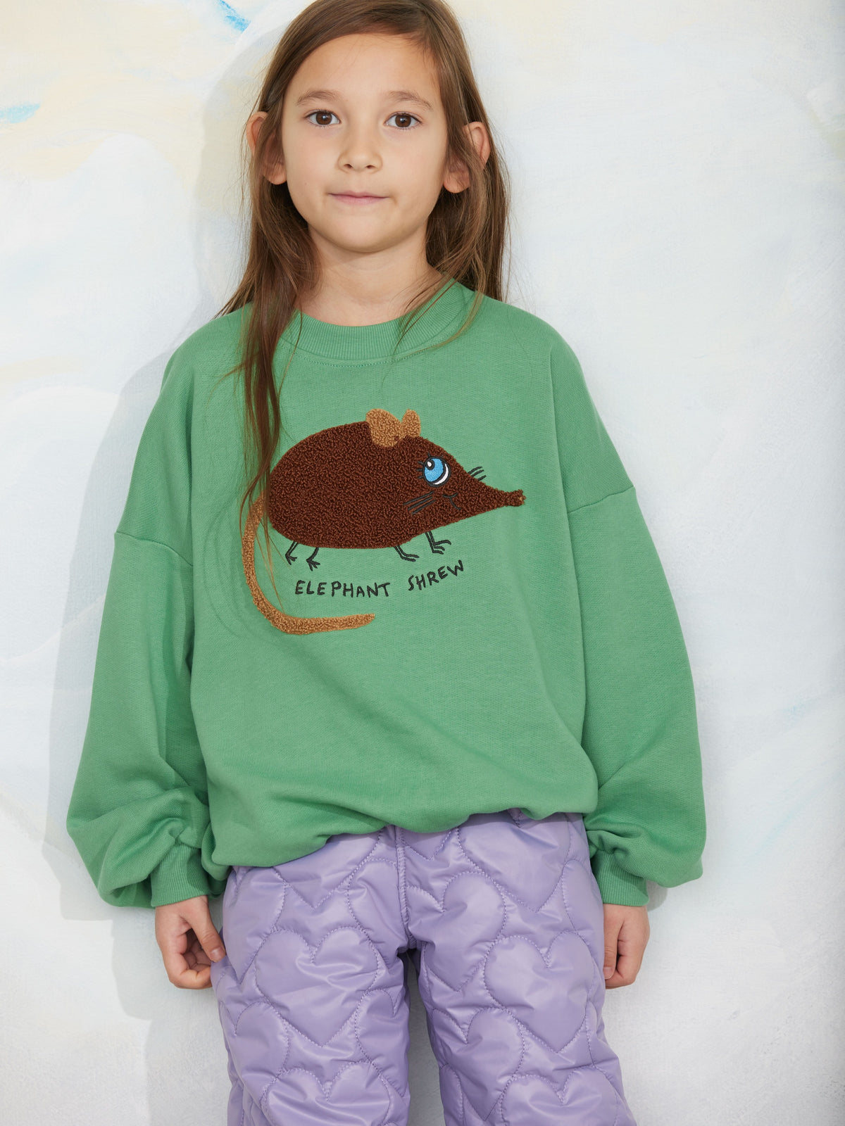 Elephant shrew chenille green sweatshirt , Mini Rodini