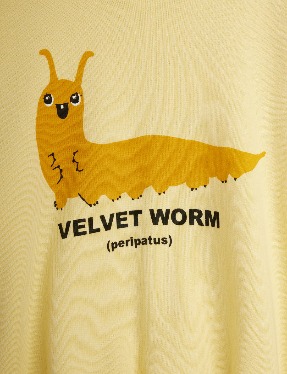 Velvet worm sp sweatshirt, Mini Rodini