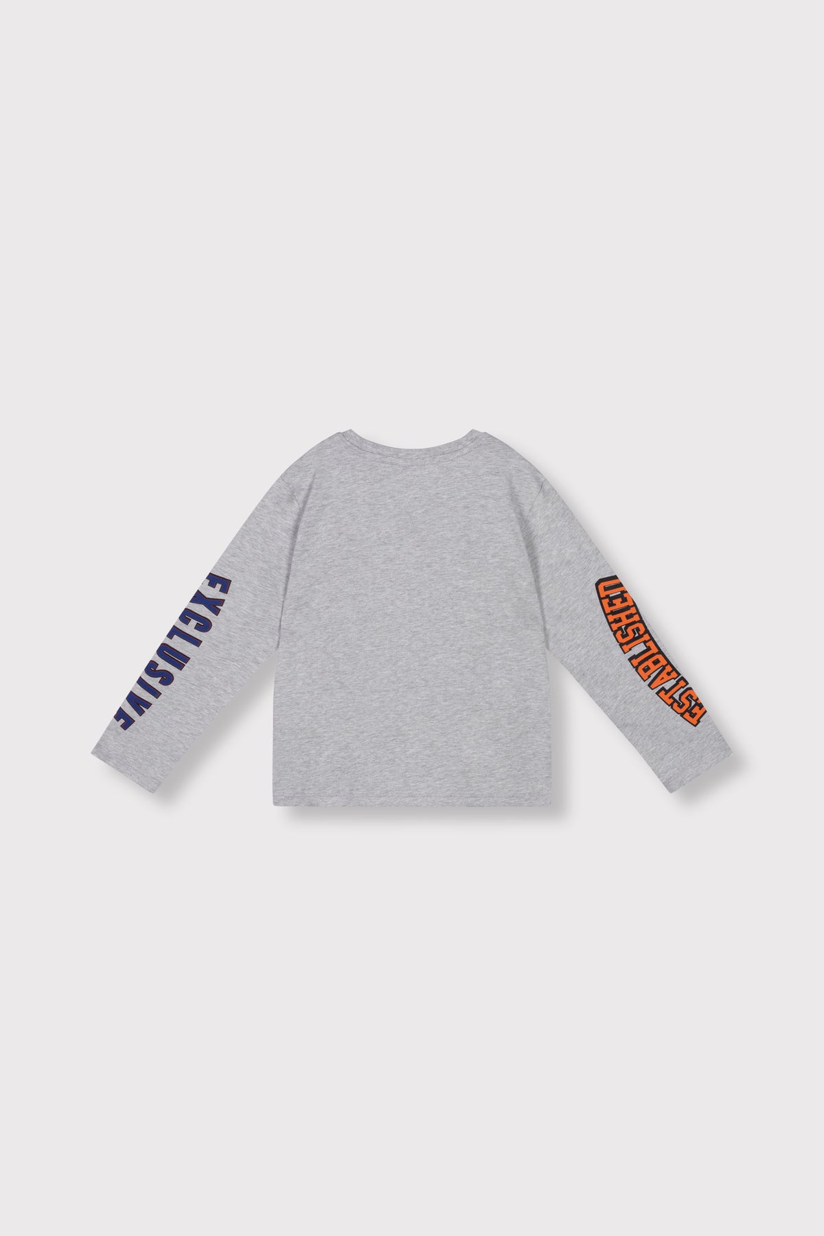 Fancy artwork longsleeve light grey melange, Alix The Label