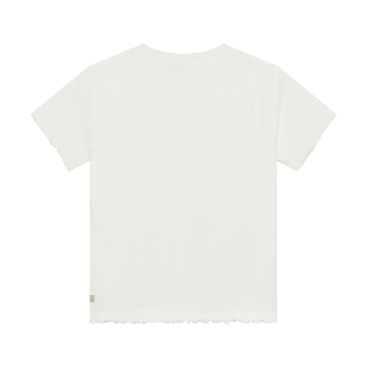 T-shirt artwork Egret, Daily Seven