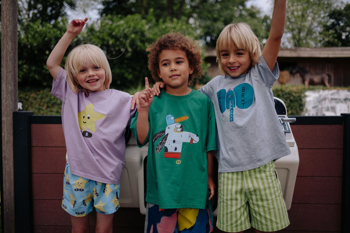 Elafancy T-shirt grey, Daily Brat