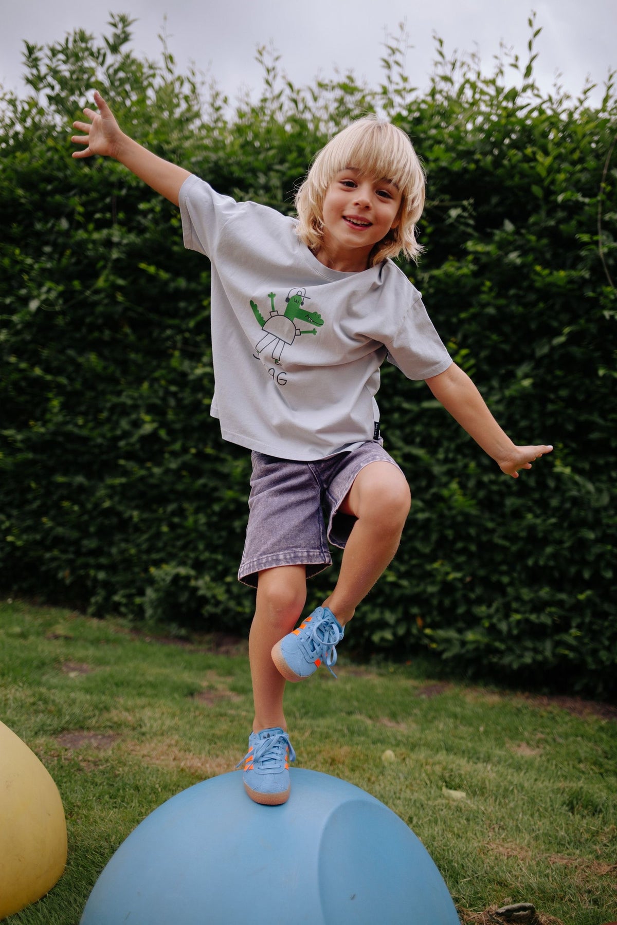 T-shirt Swag dapple gray, Daily Brat