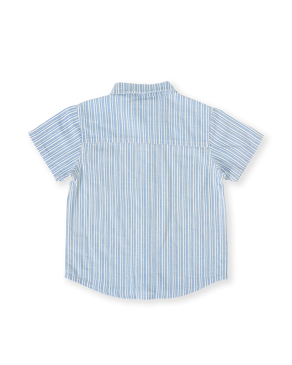 Sailor stripe holiday shirt, Goldie & Ace