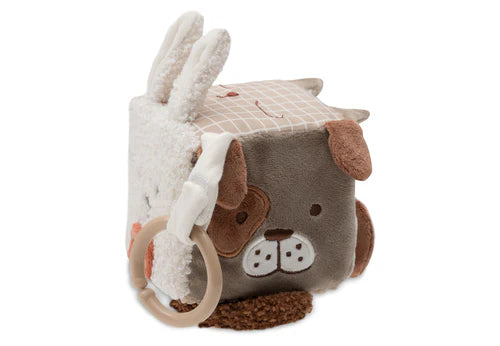 Activiteiten kubus animal, Jollein