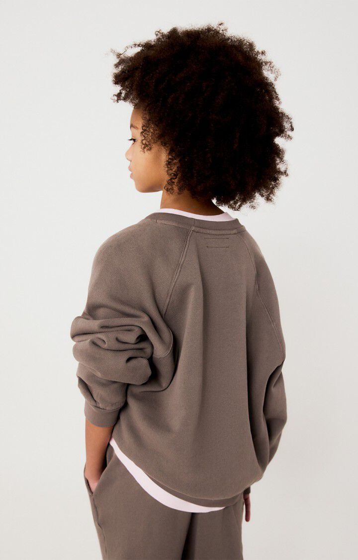 Kids sweatshirt Izubird cendre Vintage, American Vintage