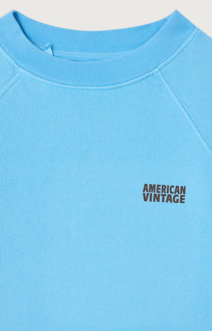 Sweater short sleeve Izubird Blue Ciel vintage, American Vintage