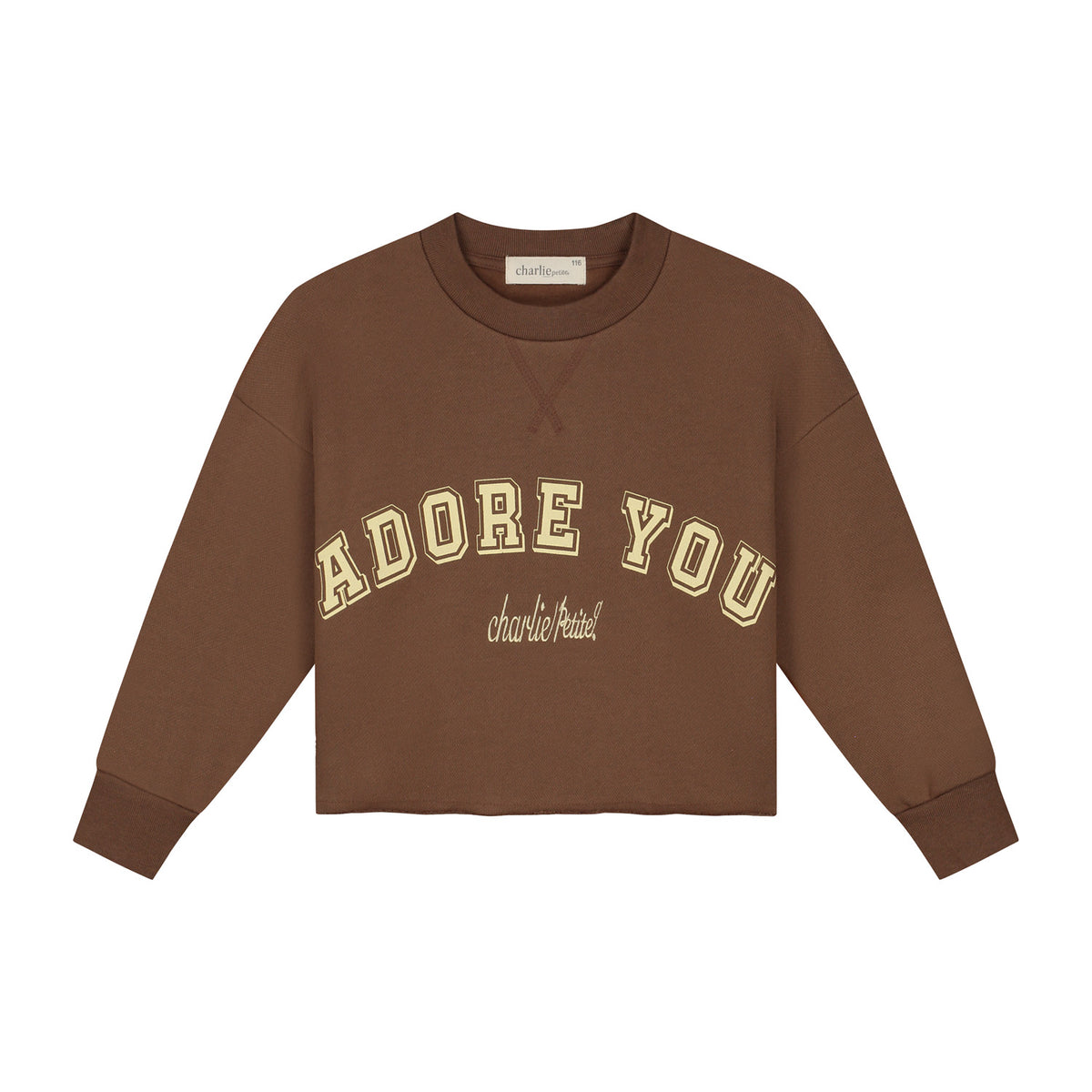 Lux sweater Brown, Charlie Petite