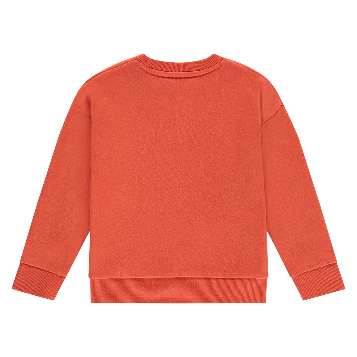 boys sweatshirt Grapefruit, Stains & Stories