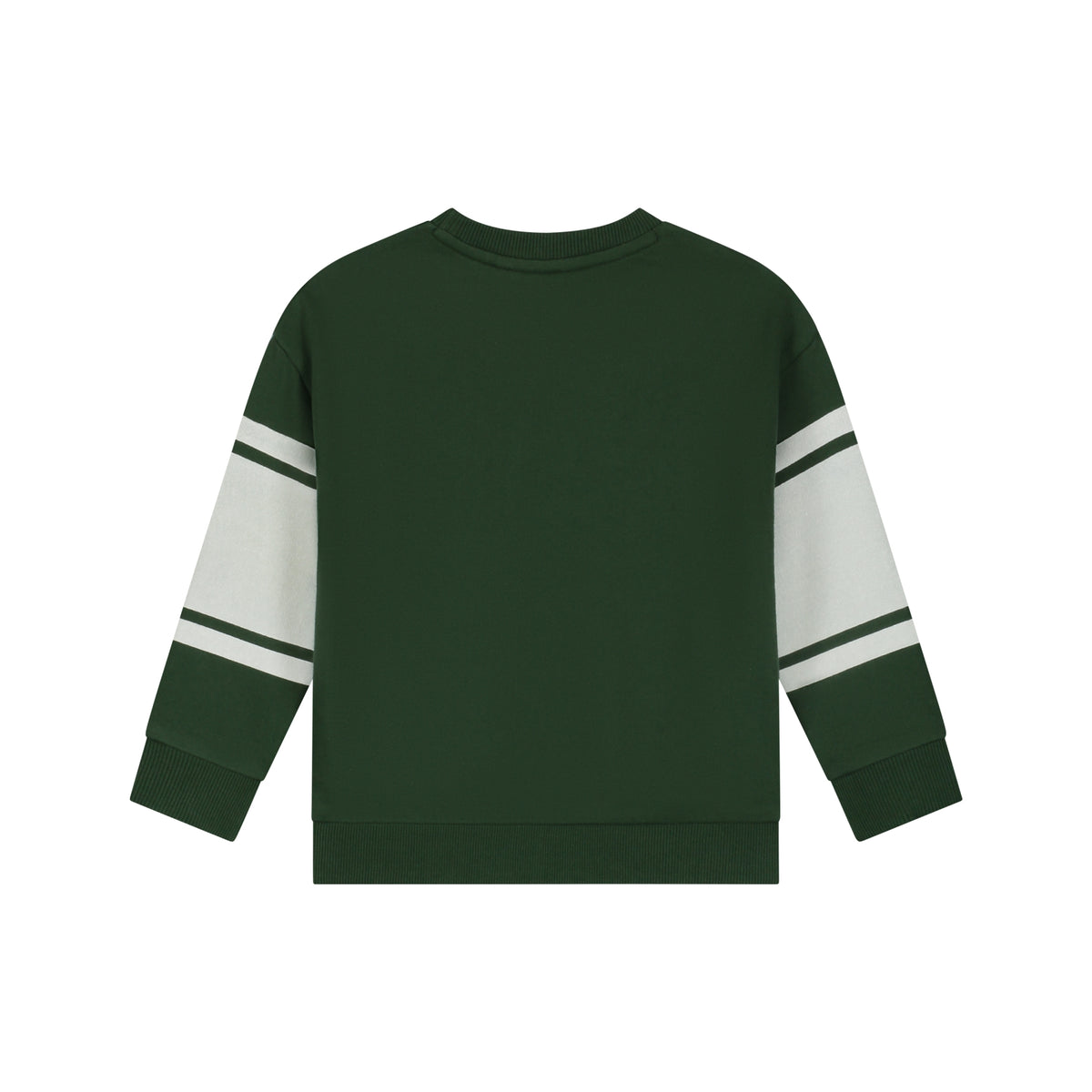 boys sweatshirt Forest, Stains & Stories