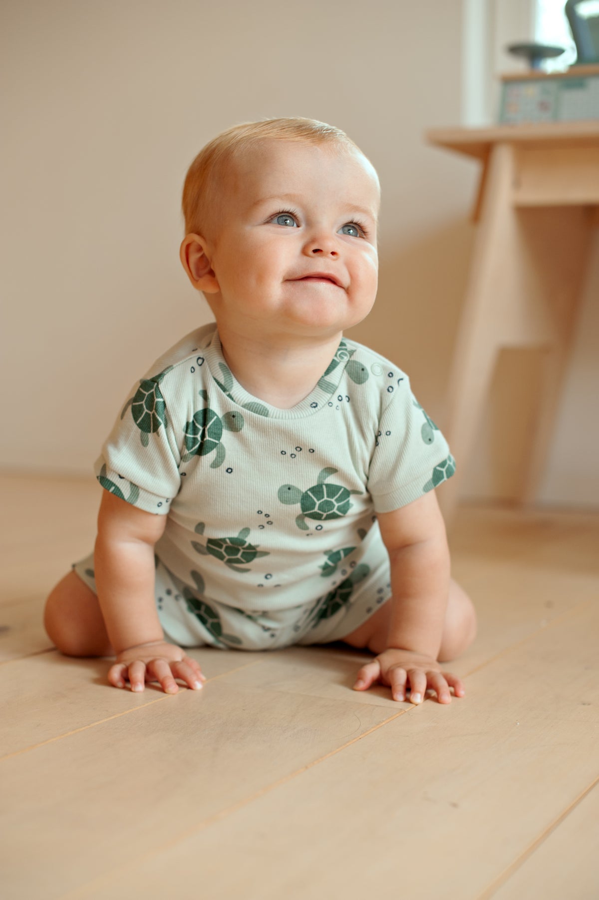 Timmy Turtle - Premium Summerwear by Feetje