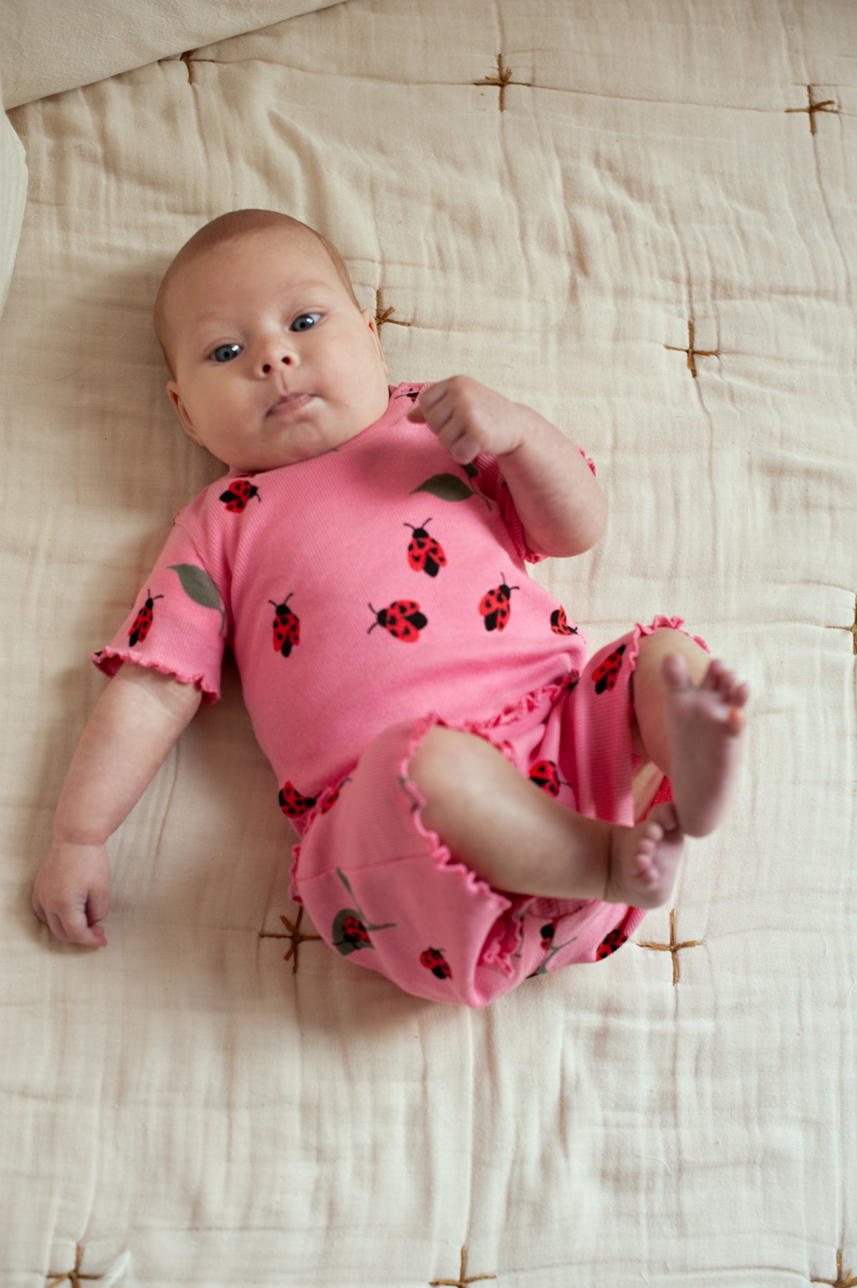 Lily Ladybug - Premium Summerwear by Feetje