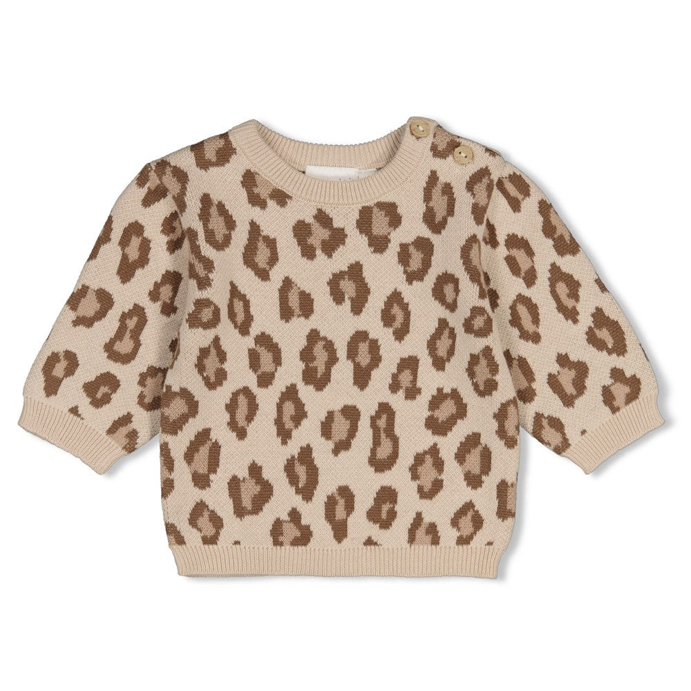 Sweater gebreid AO - The Knits, Feetje